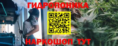 стафф Новокубанск