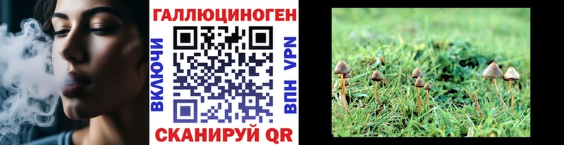 Псилоцибиновые грибы мухоморы  Тольятти 