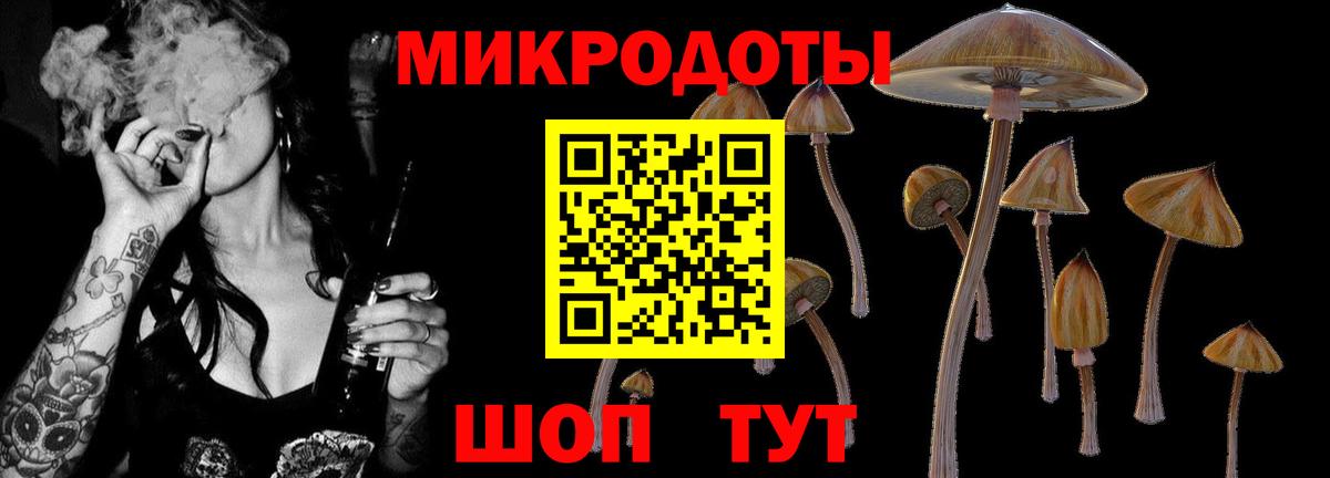 Галлюциногенные грибы MAGIC MUSHROOMS  Вход с VPN  наркошоп  Псилоцибиновые грибы мухоморы  Тольятти 