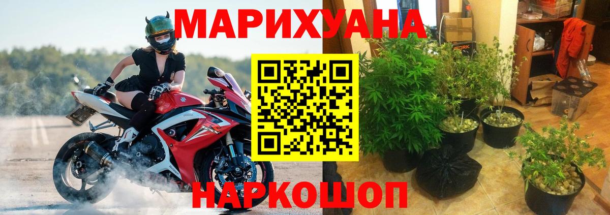 Тольятти  Канабис план  Шишки марихуана VHQ  МАРИХУАНА тримм  Вход с VPN 